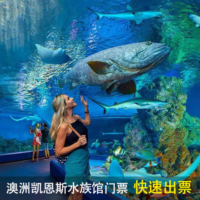 [凯恩斯水族馆-大门票]澳大利亚凯恩斯水族馆海洋馆门票 当天13