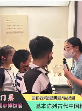 含门票丨国家博物馆丨资深讲师丨深度讲解3h丨自行丨拼团丨私团