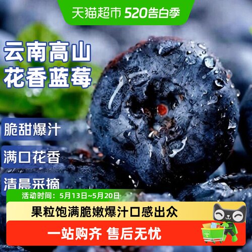 云南高山花香蓝莓特大果礼盒