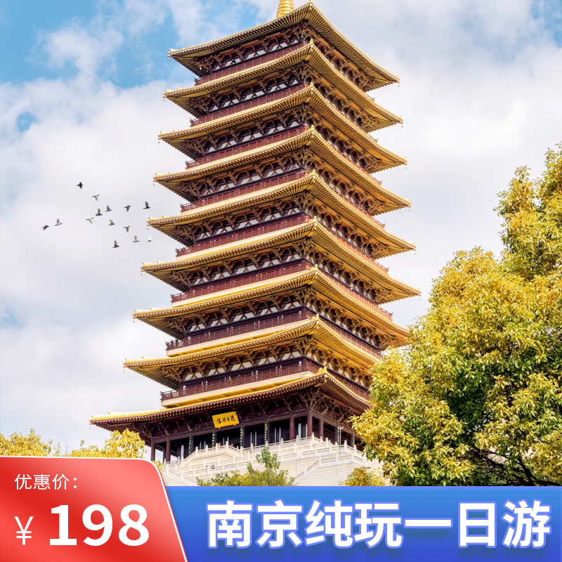 南京一日游丨牛首山+总统府+大报恩寺+游船跟团游丨天天团无购物