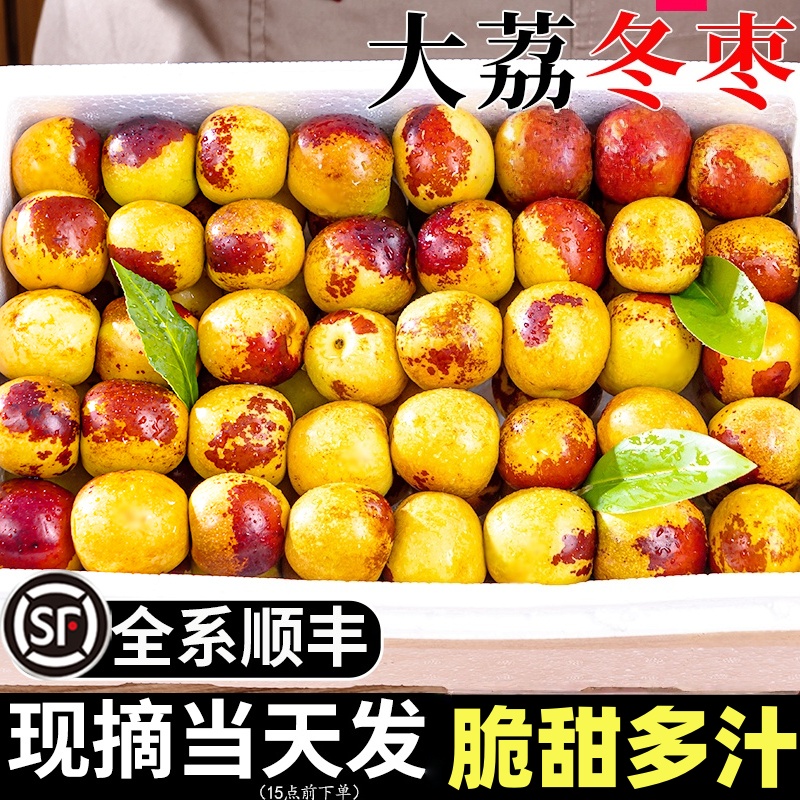顺丰包邮陕西大荔冬枣新鲜大枣当季水果枣子青枣脆枣冰糖鲜枣5斤