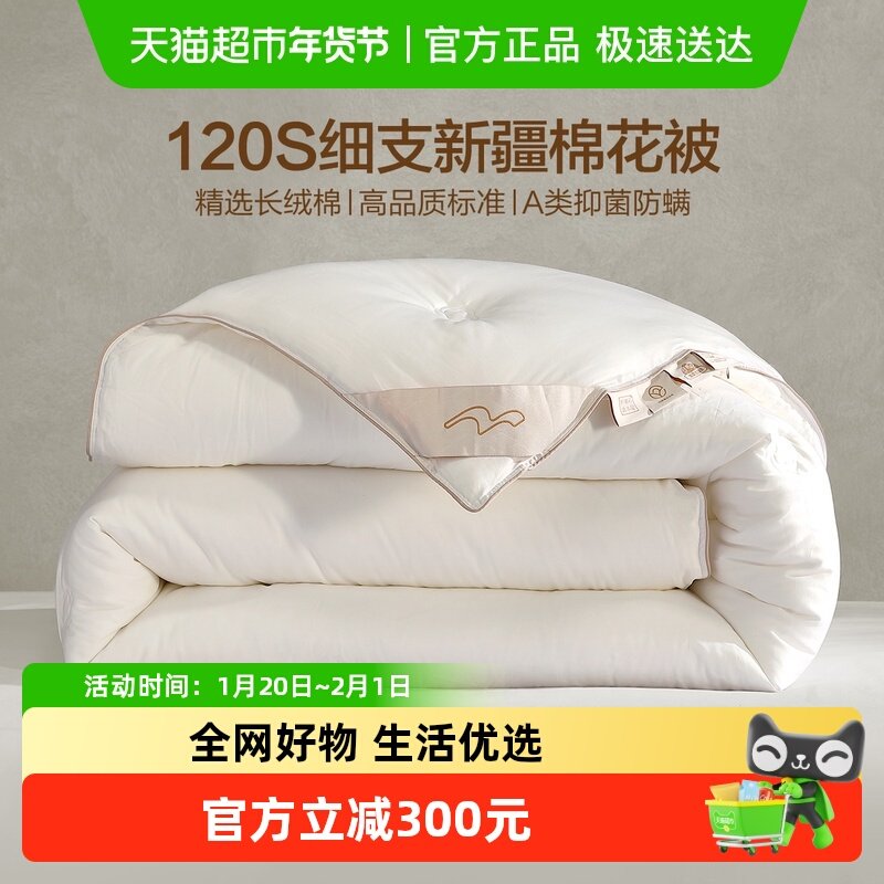 水星家纺120支轻奢棉花被子A类抑菌四季被冬被保暖被芯床品25新品,床上用品,棉花被,淘宝优惠券,粉丝福利购,淘宝优惠卷