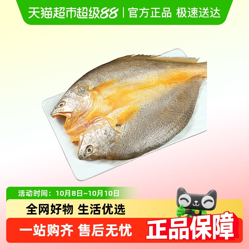 鲜驰新鲜冷冻三免大黄鱼黄花鱼