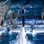 [杭州长乔极地海洋公园-门票（活动票）]新春特惠（享亲子乐园当天游玩）