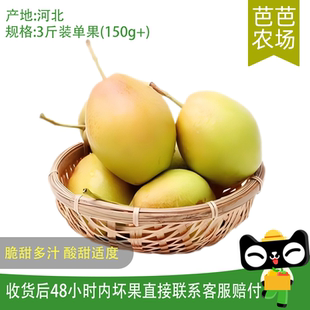 【芭芭农场】翠王红香酥梨3斤单果150g+