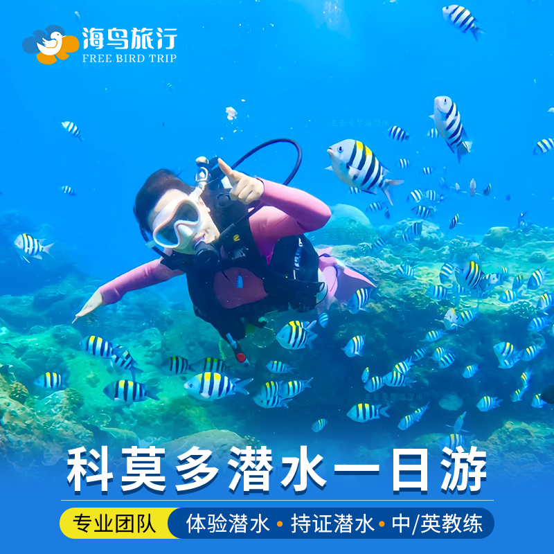 科莫多岛纯玩小团一日游