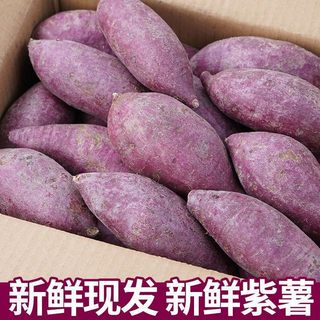紫薯新鲜3/5/9斤地瓜农家蔬菜现挖软糯板栗山芋红小番薯紫心蜜薯