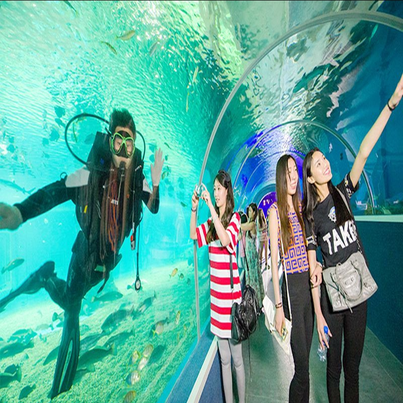 [圣蓝海洋公园-通票]秦皇岛圣蓝海洋王国门票电子票