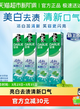 DARLIE好来(原黑人)牙膏清新双效200g*4支套装大容量清新口气