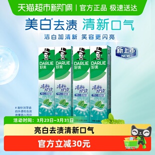DARLIE好来(原黑人)牙膏清新双效200g*4支套装大容量清新口气