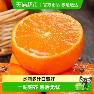 送货上门云南高山沃柑整箱时令应季 新鲜水果柑橘柑子桔子整箱