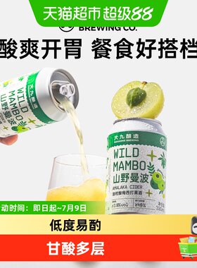 大九酿造山野曼波油柑啤酒