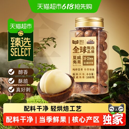 臻选原味夏威夷果坚果零食