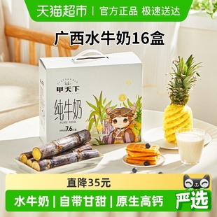 皇氏乳业广西水牛奶甲天下纯牛奶整箱礼盒装 包邮 送礼 顺丰