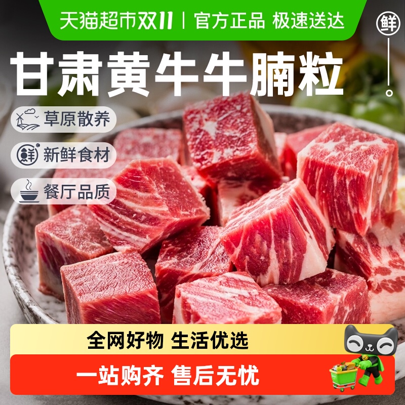 牛腩粒甘肃黄牛牛腩粒切块牛腩肉清炖红烧火锅食材