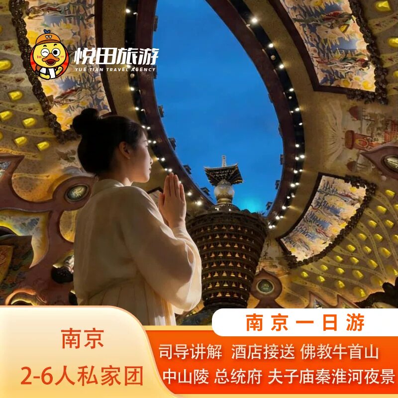 南京一日游2-6人团司导讲解+中山陵牛首山总统府夫子庙秦淮河夜景