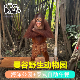 曼谷野生动物园 泰国曼谷动物园safari 野生动物园 自助午餐 world门票 海洋公园