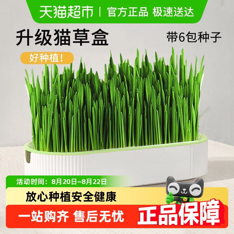 è������С����������������ˮ�໯ë��è���������ֺ���è����ʳ