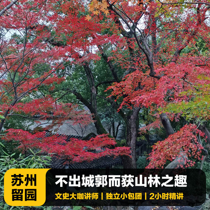 猩咖说®苏州留园半日游含门票大咖2H讲解VIP包团亲子苏州旅游