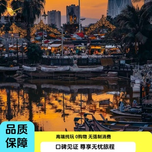 湄公河一日游越南旅游古芝地道三角洲手摇船椰林胡志明出发半日游