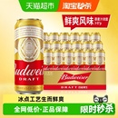 啤酒 拉格8.0°P整箱批发囤货罐装 百威纯生啤酒500ml 18听经典