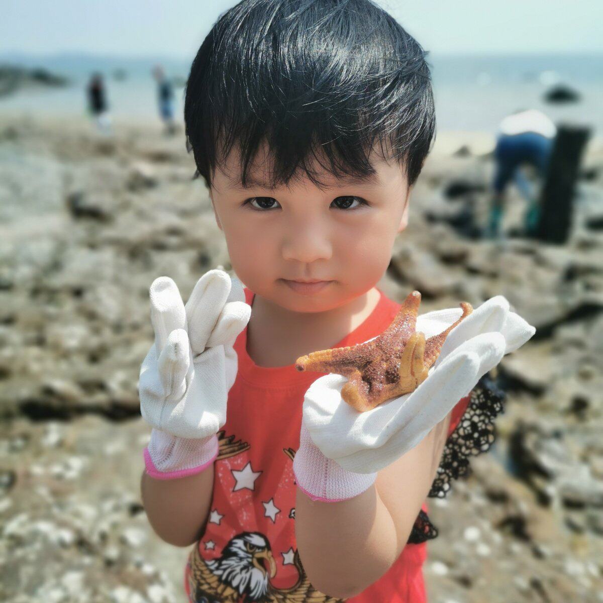 厦门旅游小嶝岛亲子赶海1日游12人纯玩小团 抓螃蟹海鲜沙滩帆船