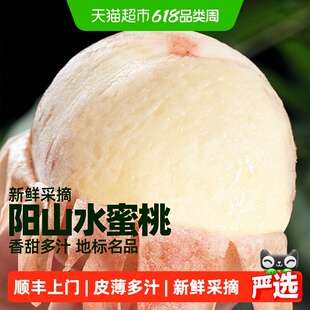 顺丰上门正宗无锡阳山水蜜桃新鲜水果整箱桃子礼盒