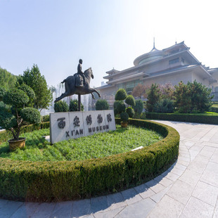西安博物院+小雁塔【含门票2.5小时讲解/可选8/15/25人团】