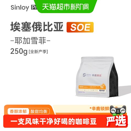 SINLOY耶加雪菲SOE奶香冷萃壶