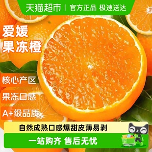 新鲜水果手剥橙子甜柑橘整箱特眉山大果 四川爱媛38号果冻橙应当季