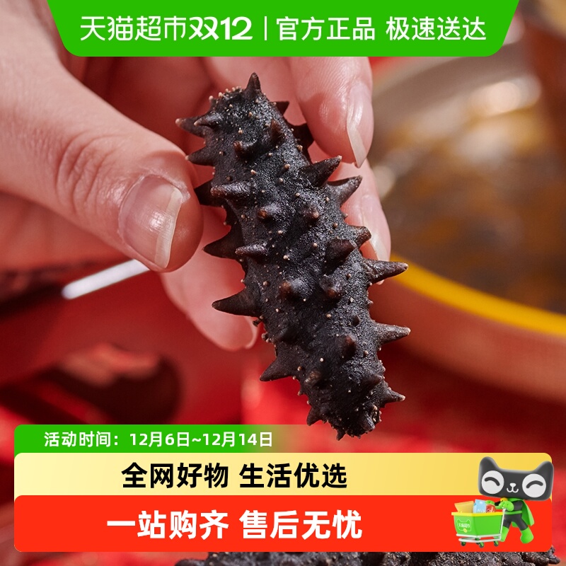 辽参11倍国标干海参刺身送礼