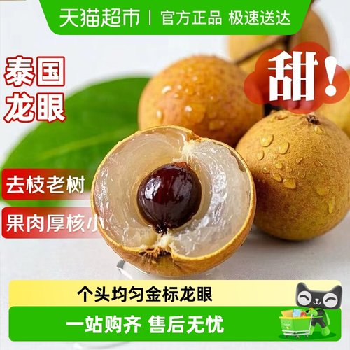 寻天果蔬泰国进口龙眼大果