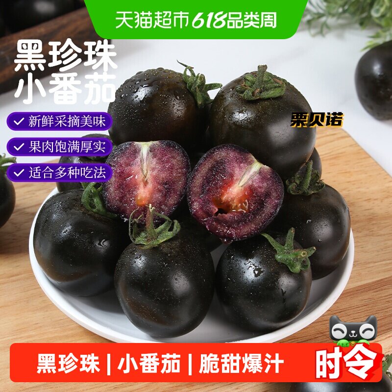 栗贝诺山东黑珍珠小番茄墨明珠紫色新鲜现摘现发酸甜多汁口感鲜美