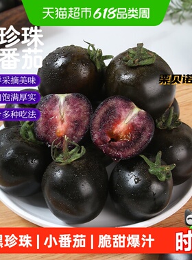 栗贝诺山东黑珍珠小番茄墨明珠紫色新鲜现摘现发酸甜多汁口感鲜美