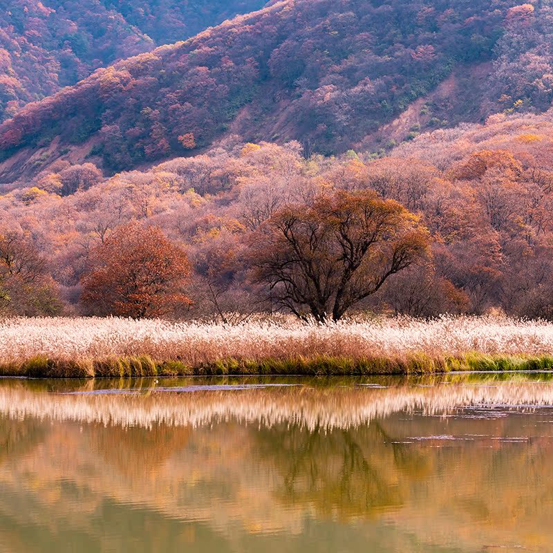 【自驾景酒套餐】双人神农架六大景区联票+阿尔卡迪亚森林酒店1晚