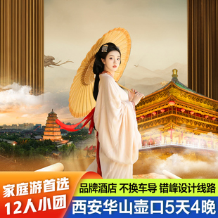 2-12人小团 西安旅游5天4晚兵马俑陕西当地旅行飞猪西安跟团旅游