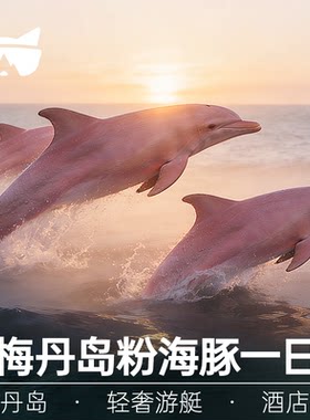 苏梅岛一日游丹岛