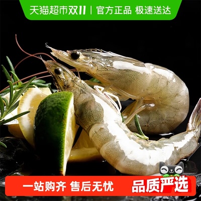 俏虾客对虾有机大虾新鲜大虾