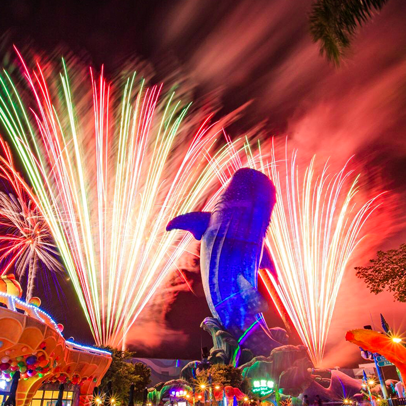 [珠海长隆海洋王国-跨年夜场票]16点后入园刷身份证