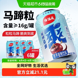 杨协成低糖马蹄爽马蹄水甘蔗汁果汁荸荠果肉夏日消暑料饮品尝鲜装