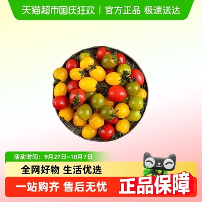阳光三色小番茄混装青口蜜装