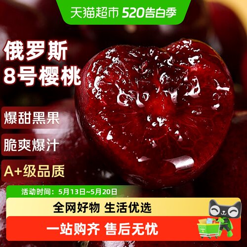 京运达俄罗斯八号大樱桃