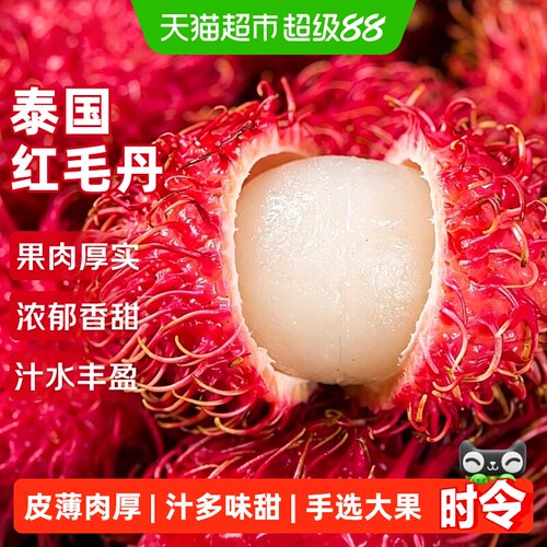 京运达泰国进口当季红毛丹
