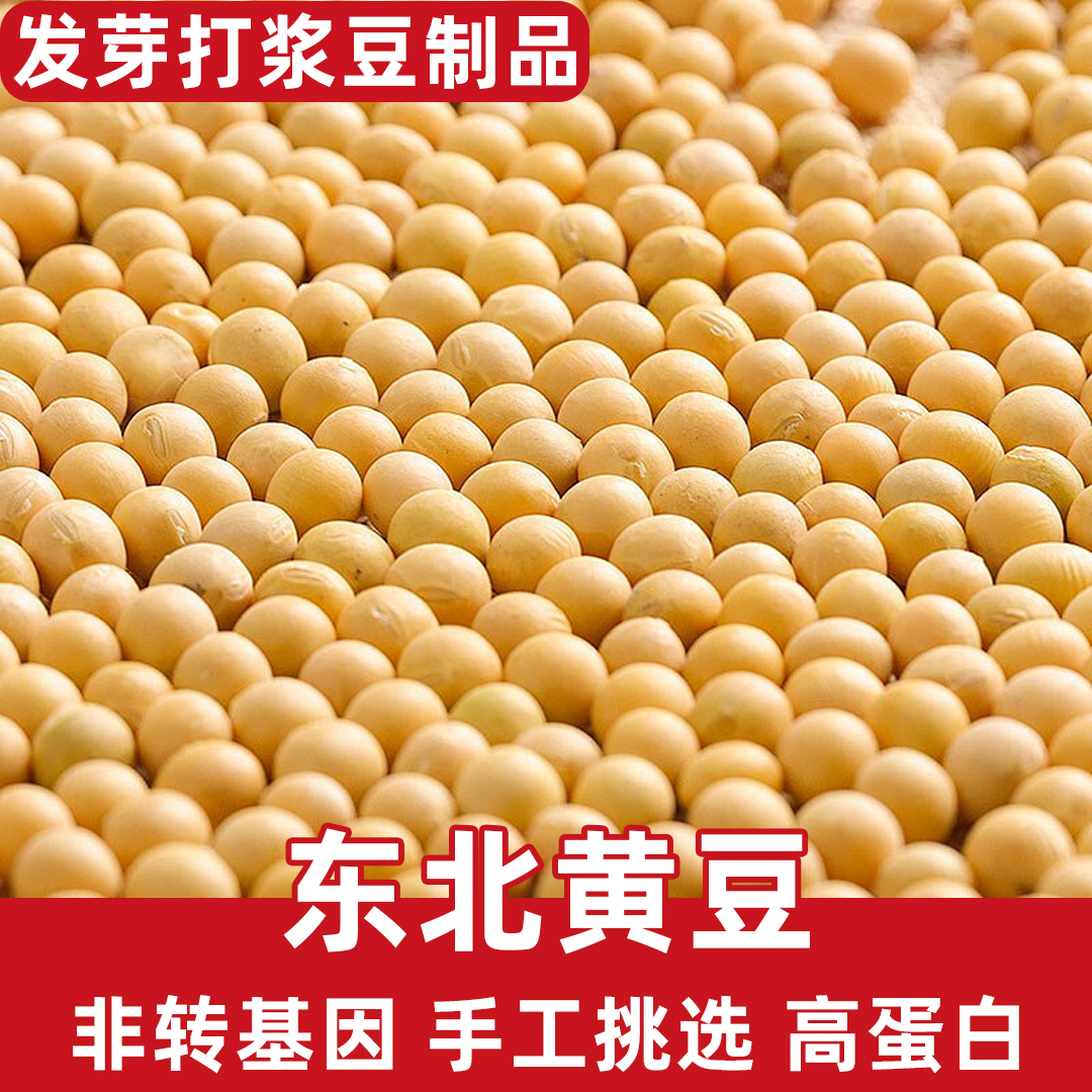 24年新黄豆5斤装黑龙江高蛋白豆腐大豆专用豆浆豆芽农家非转基因