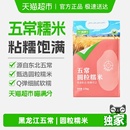 下拉领淘金币喵满分糯米新米包粽子五常东北大米酒酿糯米粽子糯米