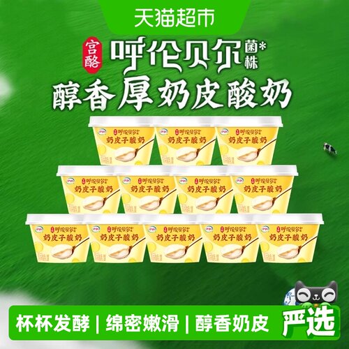 伊利宫酪奶皮子低温冷藏口感绵密