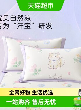 博洋儿童冰丝枕套40x60cm卡通