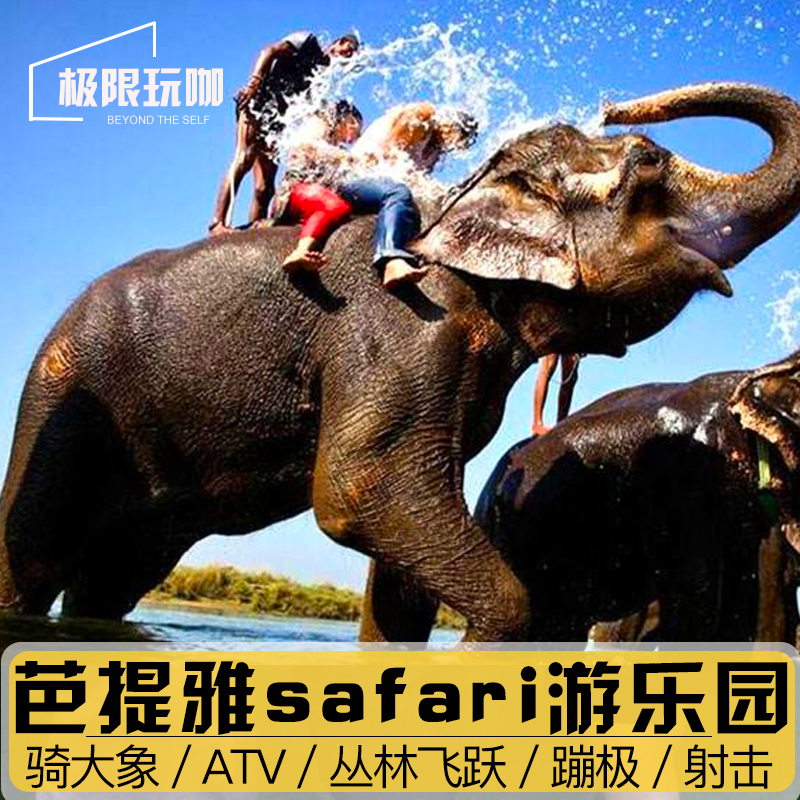 芭提雅象泰园骑大象