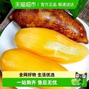 包邮 清脆爽口低糖水果顺丰 新鲜云南高山雪莲果气柱装 到家 精选