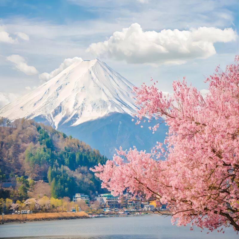省心[慢旅行]日本旅游东京自由行6天5晚含机票市区酒店接送 个签